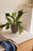 Normu Pots (set of 2) by Hübsch