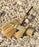 Outdoor Market Broom by Hay