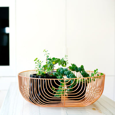 22" Basket by Bend Goods