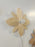 Petula - Maple by Atelier Cocotte