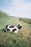 Kids' Lola the Cow Pouf by Lorena Canals featuring a soft, plush cow design perfect for children's rooms.