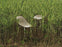 Mat Barstool 65 Steel by Normann Copenhagen