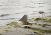 Mat Barstool 65 Steel by Normann Copenhagen