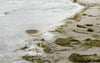 Mat Barstool 65 Steel by Normann Copenhagen