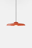 Hoist Pendant Plug-in by RBW