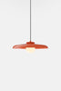 Hoist Pendant Plug-in by RBW