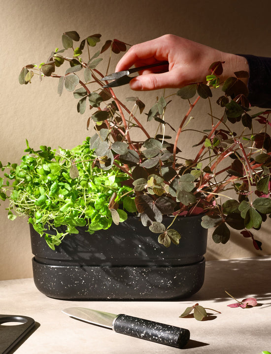 POT-IT Herb Organizer by Rig-Tig