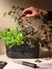 POT-IT Herb Organizer by Rig-Tig