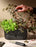 POT-IT Herb Organizer by Rig-Tig