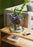 Seize Coffee Table - Natural by Hübsch