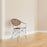 Funky Dining Chair by Sika
