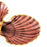 Sirena Trefoil Serving Dish by Jonathan Adler