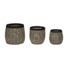 Sprout Baskets (Set of 3) by Hübsch