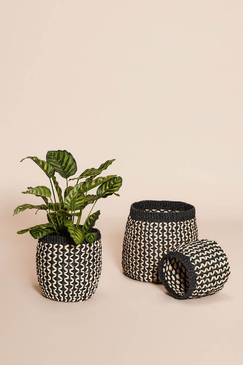 Sprout Baskets (Set of 3) by Hübsch