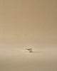 Reflect Candle Holder by STOFF Nagel