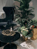 Flash Circle Table by Tom Dixon