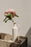 LIDO Flower Stand by un'common