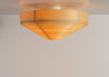 1005 Hans Ceiling Light by Vaarnii