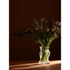 Large clear Vena vase by AYTM, modern glass accessory with sleek design, perfect for stylish home decor.