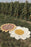 White Daisy washable kids rug by Lorena Canals featuring a floral daisy design on soft, durable fabric.