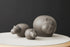 Hibo Hippopotamus by Woud Denmark