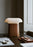 Walnut Nova Table Lamp by Woud Denmark, modern lighting with a sleek wooden base and minimalist design.
