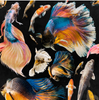 GOLDFISH Anthracite Wallpaper by Mindthegap