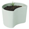 YOUR TREE Planting Pot by Rig-Tig
