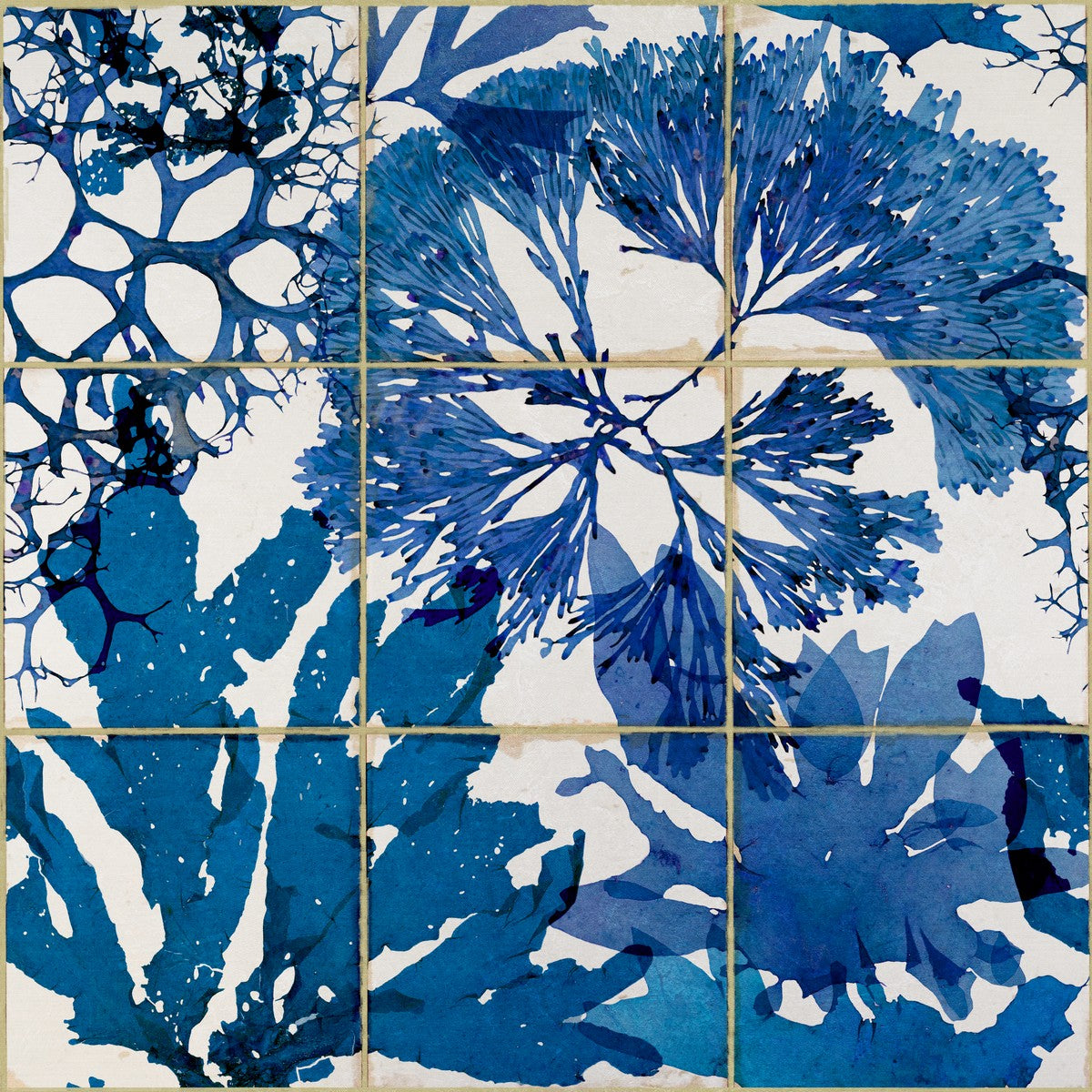 ALGAE Blue Wallpaper by Mindthegap