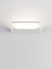Aile Wall Lamp by LODES