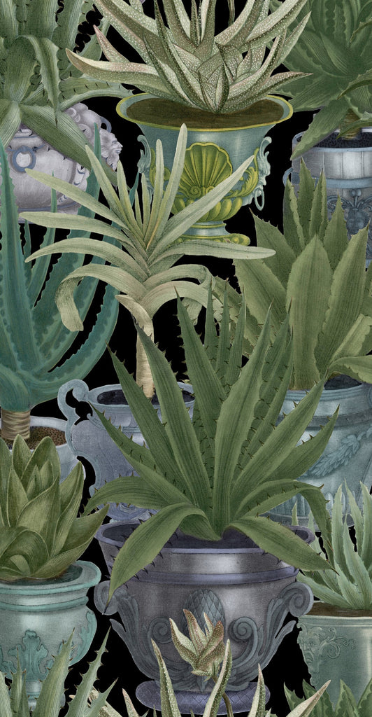 ECHEVERIA Wallpaper by Mindthegap — The Modern Shop