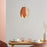 Flora 1 Hanging Lamp by Atelier Cocotte