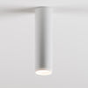 Haul Surface Ceiling Mount Light by ZANEEN design