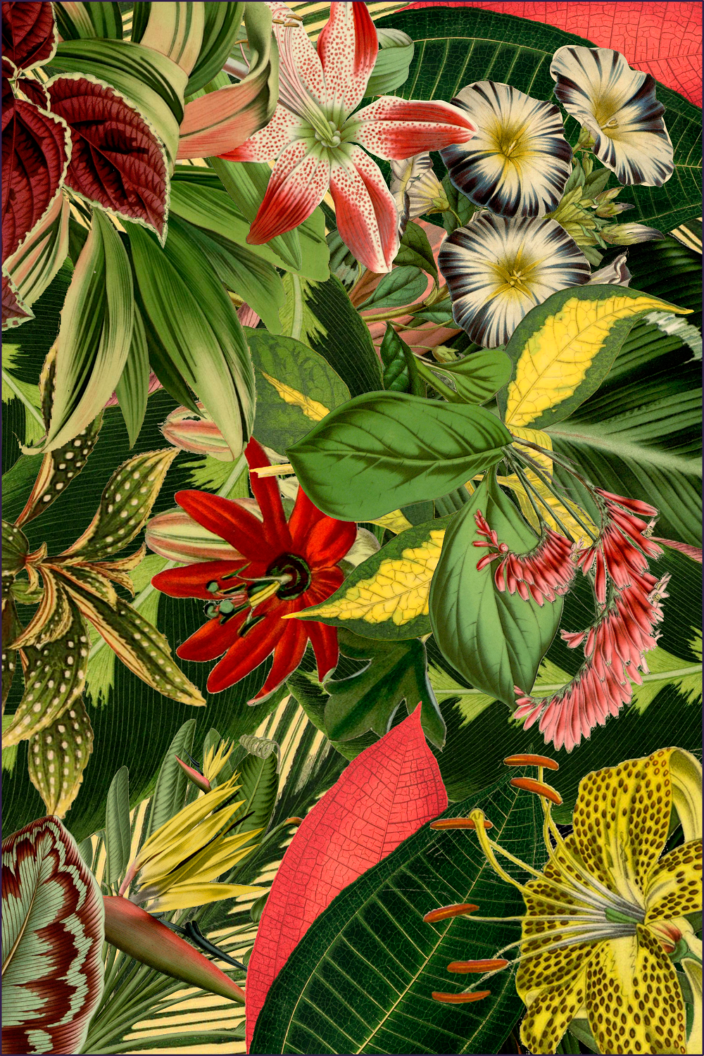 Herbarium of Extinct Plant Rugs by Moooi Carpets