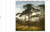 Papier Peint RKS-01 Umbrella Pines par Piet Hein Eek pour NLXL