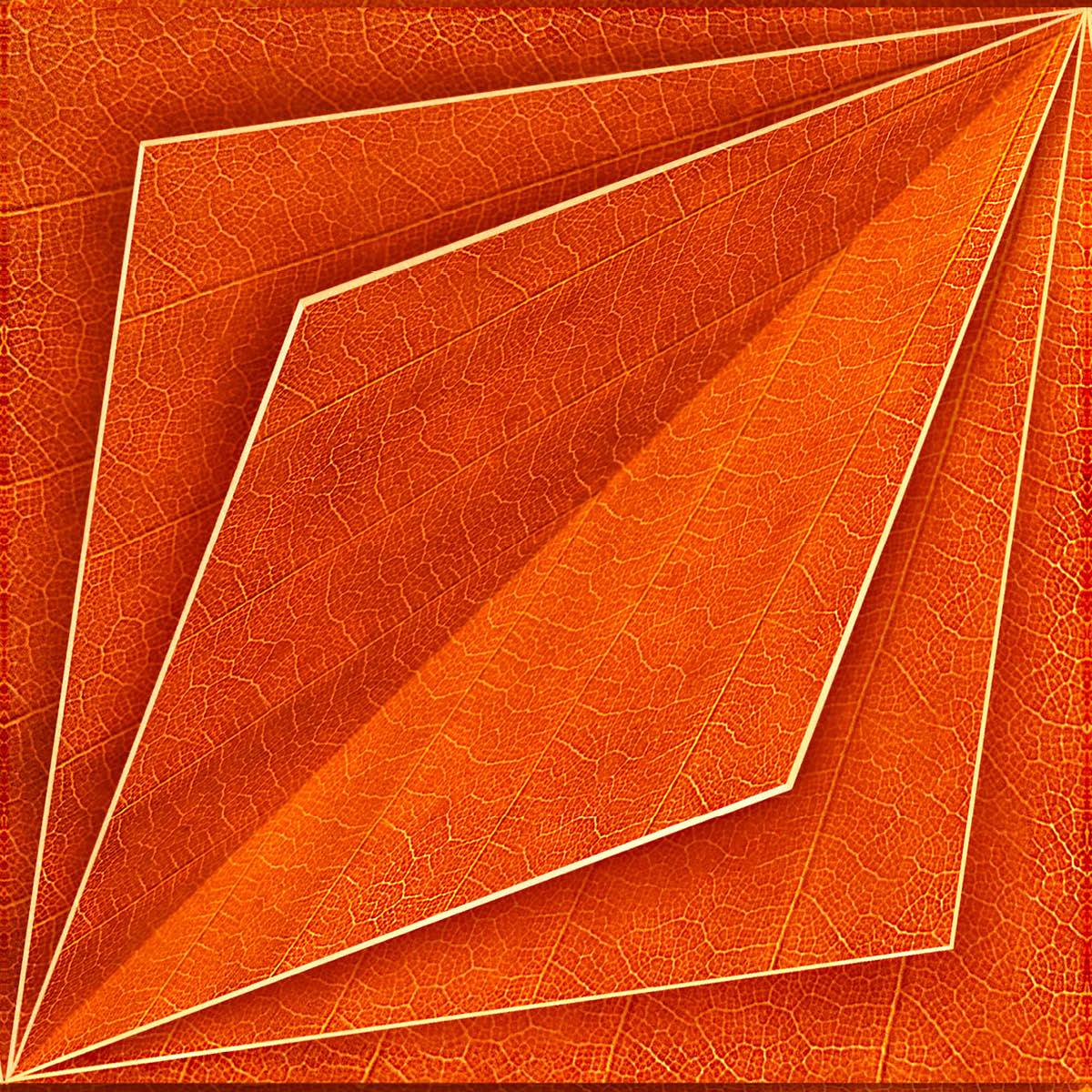 Papier peint SUZ-05 Orange Bloom par Suzan Hijink pour NLXL