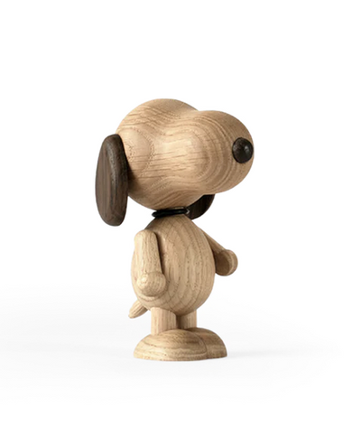 Snoopy by Boyhood