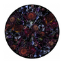 Fool’s Paradise by Marcel Wanders for Moooi Carpets