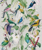 TROPICAL BIRDS Wallpaper by Mindthegap