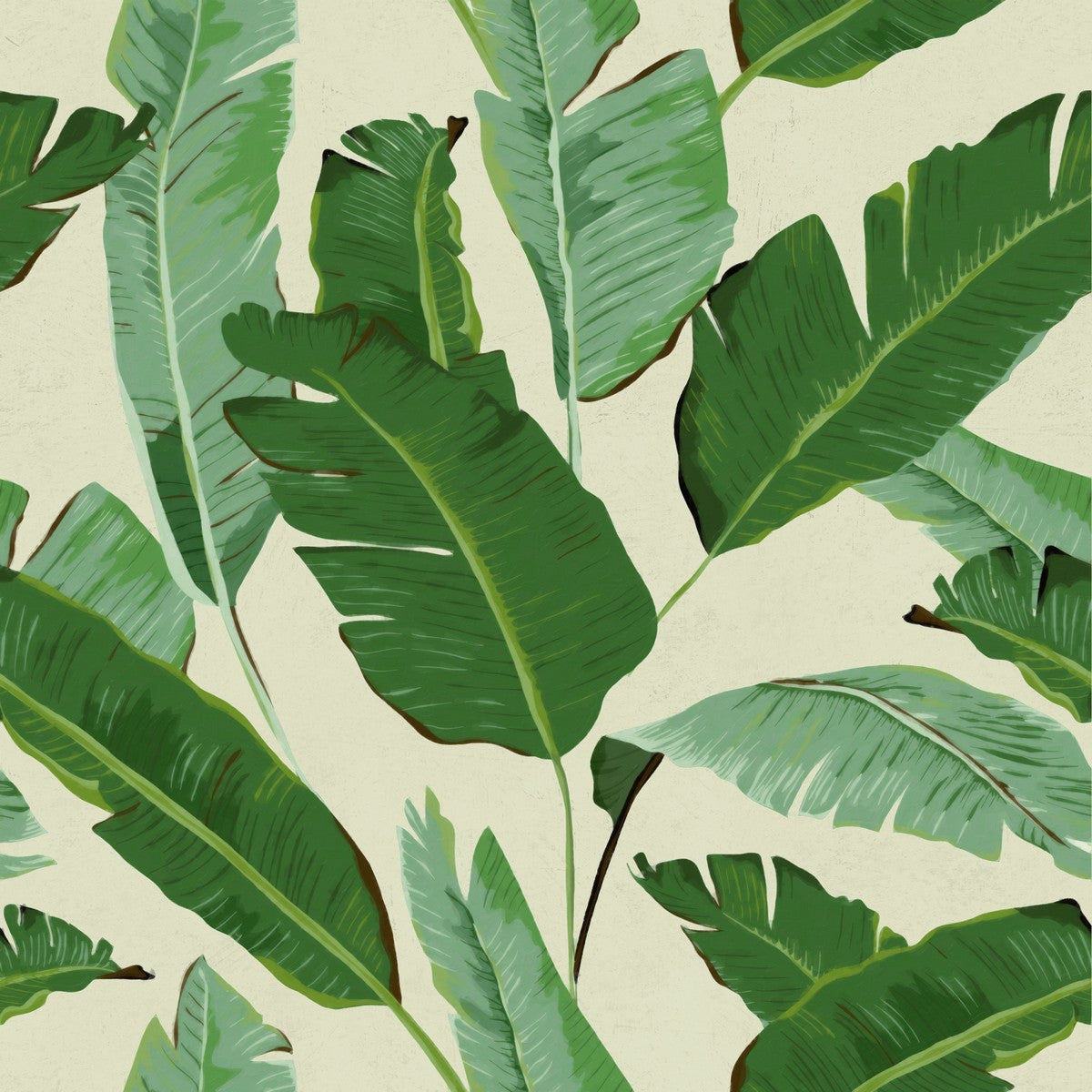 Papier peint feuilles de bananier par Mindthegap