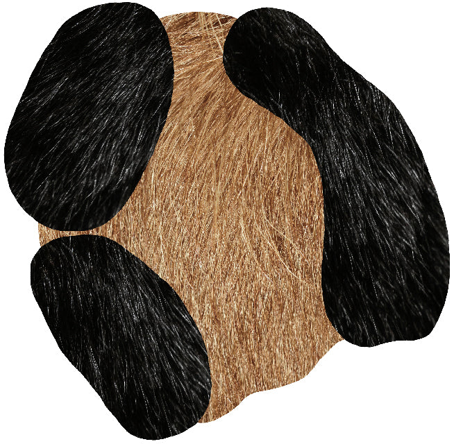 Léopard barbu de Moooi Carpets