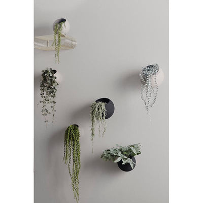GLOBE Wall Flowerpot by AYTM