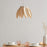 Flora 2 Hanging Lamp by Atelier Cocotte