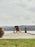 Chaise Saxe par Audo Copenhagen