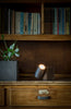 Wooden Lamp by Axis71