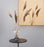 TORUS Vase by AYTM