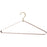 VESTIS Hanger (Set of 2) by AYTM