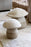 Paniers de champignons par Lorenal Canals 
