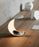 Lampe de table Curl par Luceplan