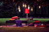 Velvet Pillow by Design By Us
